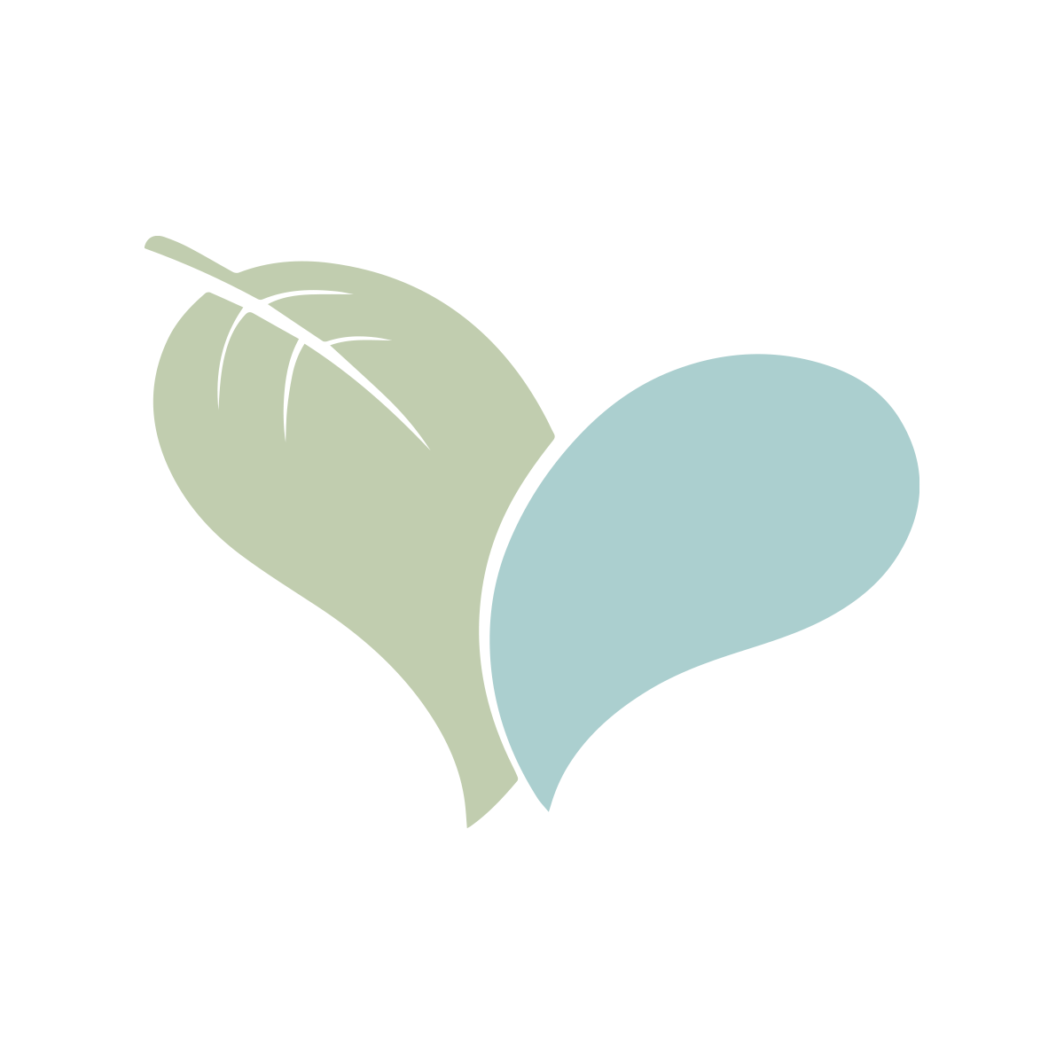 Live Love Spa brand logo